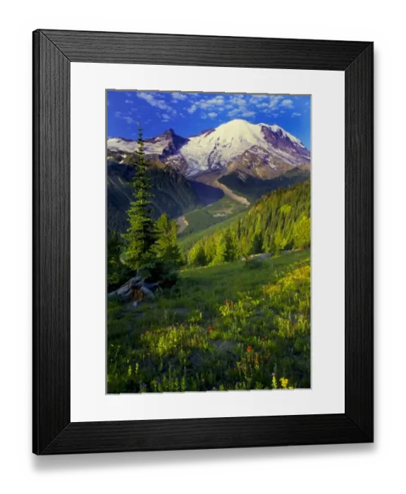 Framed Print : USA, Washington, Mt. Rainier National Park