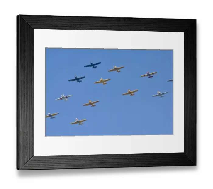 Framed Print : Armada of North American T-6 Texans in War Birds Formation fly over, Ea Air Show