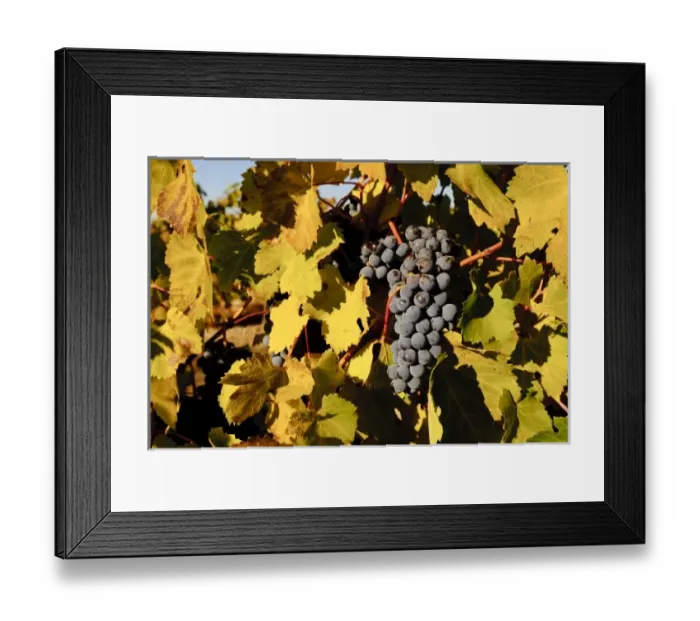 Framed Print : USA, North America, Washington Framed Print : USA, North America, Washington