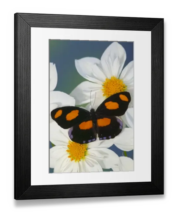 Framed Print : USA, North America, Washington Framed Print : USA, North America, Washington