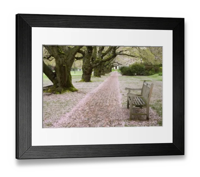 Framed Print : USA, North America, Washington Framed Print : USA, North America, Washington