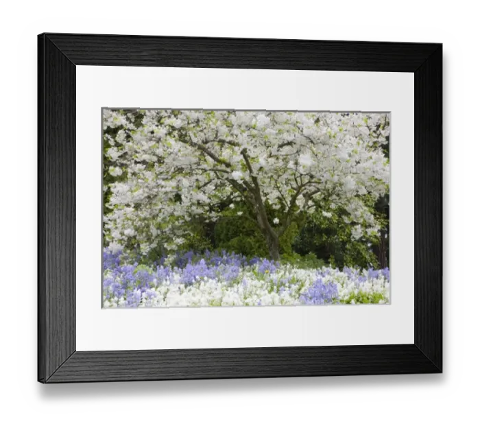 Framed Print : USA, North America, Washington Framed Print : USA, North America, Washington