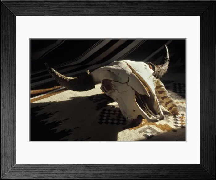 Framed Print : The sundance was practiced by most tribes of the Great Plains, Plateau and Great Basin areas