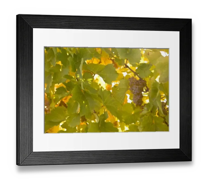 Framed Print : USA, North America, Washington Framed Print : USA, North America, Washington