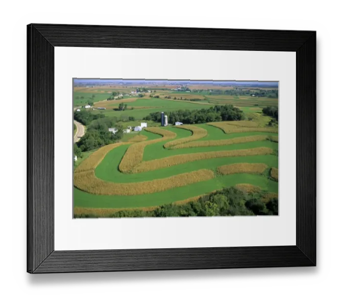 Framed Print : Aerial view of contour strip farming corn and alfalfa hay in Southwest Wisconsin Framed Print : Aerial view of contour strip farming corn and alfalfa hay in Southwest Wisconsin