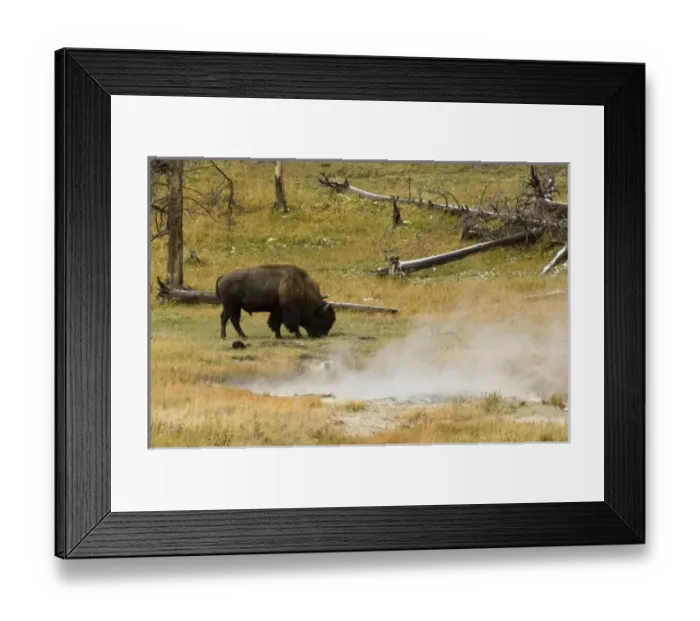 Framed Print : USA, North America, Wyoming Framed Print : USA, North America, Wyoming