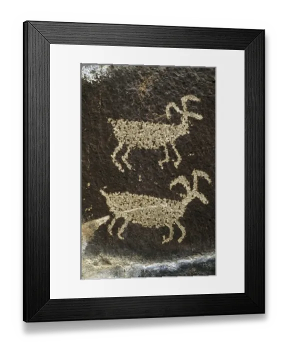 Framed Print : USA, North America, Washington Framed Print : USA, North America, Washington