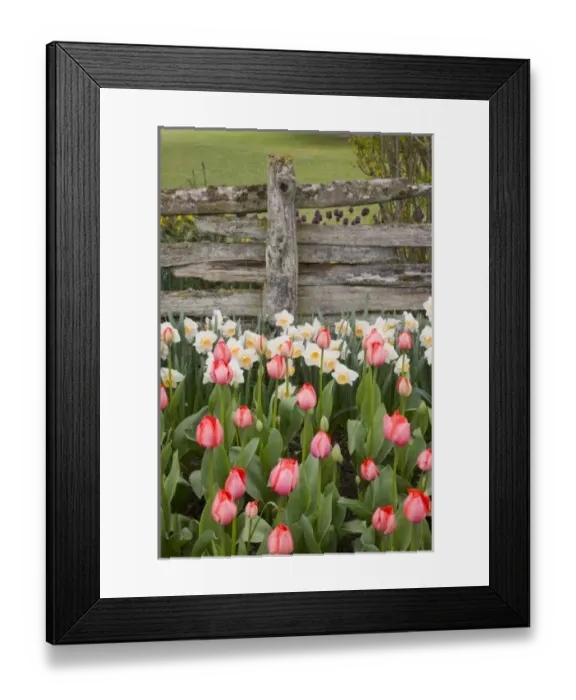 Framed Print : USA, North America, Washington Framed Print : USA, North America, Washington