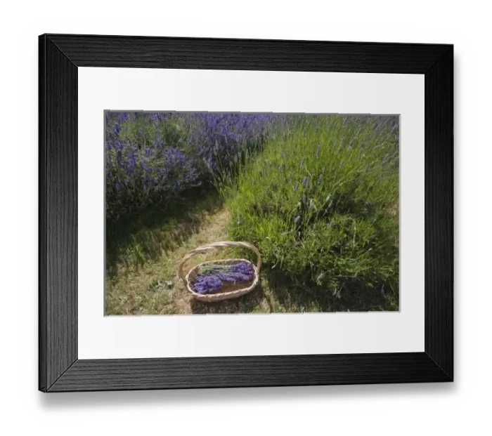 Framed Print : USA, North America, Washington Framed Print : USA, North America, Washington