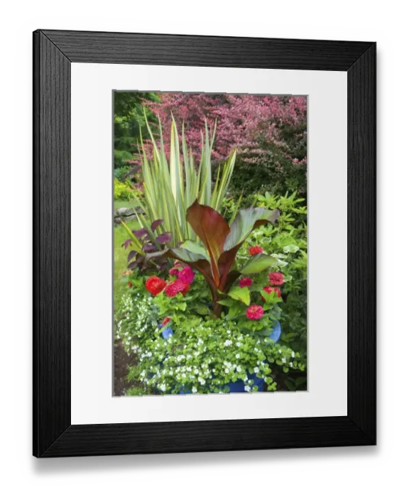 Framed Print : USA, North America, Washington