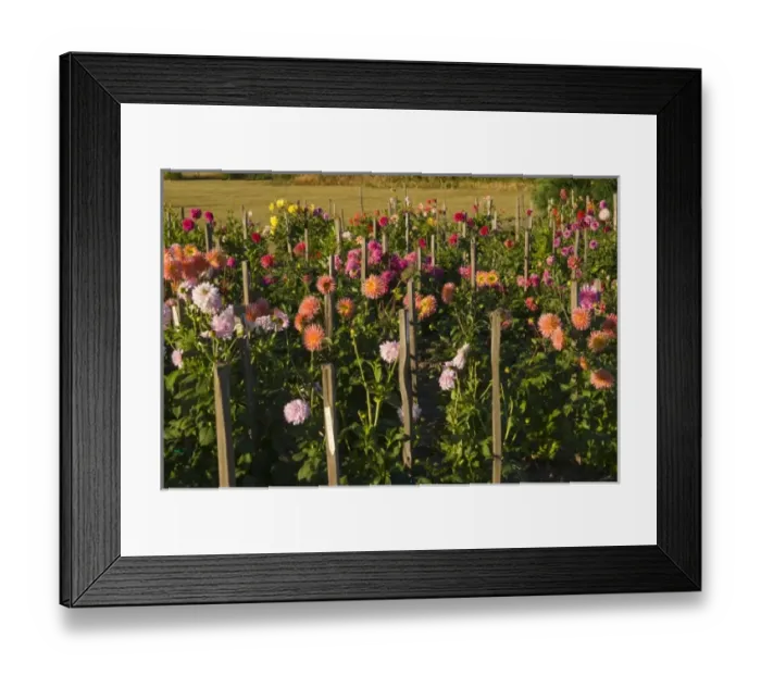 Framed Print : USA, North America, Washington Framed Print : USA, North America, Washington