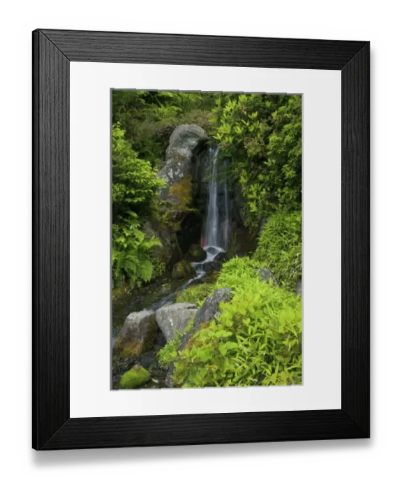 Framed Print : USA, North America, Washington
