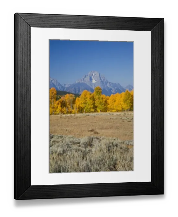 Framed Print : USA, North America, Wyoming Framed Print : USA, North America, Wyoming