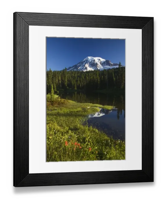 Framed Print : WA, Mt. Rainier NP, Mt. Rainier reflected in Reflection Lake, paintbrush in foreground Framed Print : WA, Mt. Rainier NP, Mt. Rainier reflected in Reflection Lake, paintbrush in foreground
