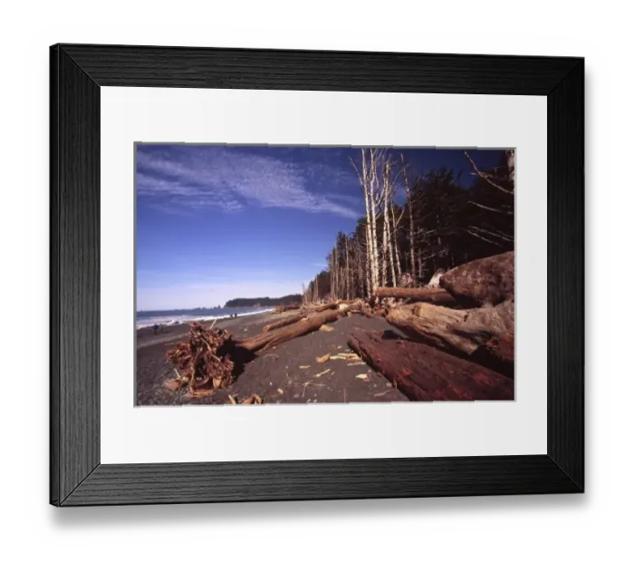 Framed Print : Ruby Beach, Olympic National Park, Washington, US