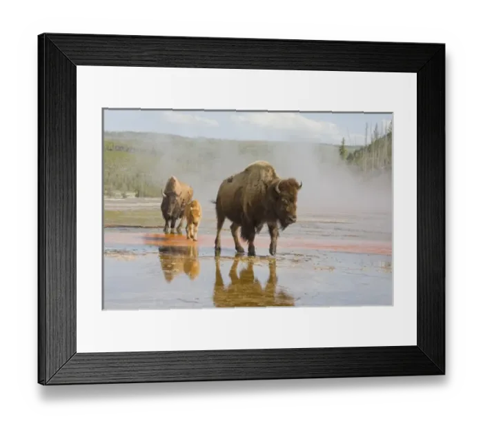 Framed Print : USA, North America, Wyoming Framed Print : USA, North America, Wyoming