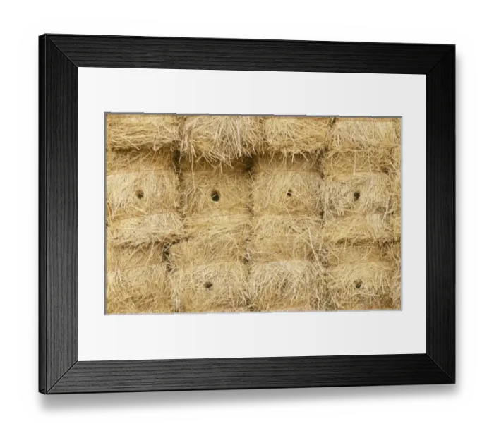 Framed Print : USA, North America, Washington Framed Print : USA, North America, Washington