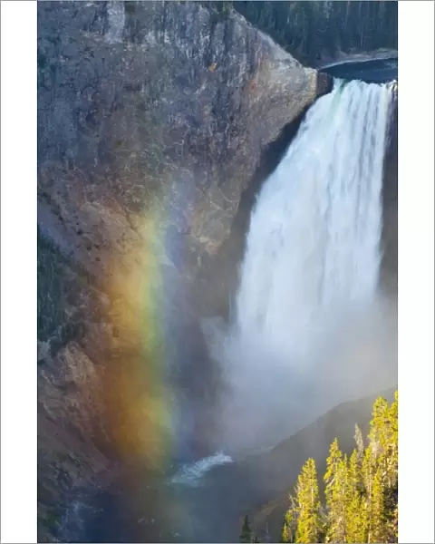 Lower Falls in the Grand Canyon of the Yellowstone River in Yellowstone National