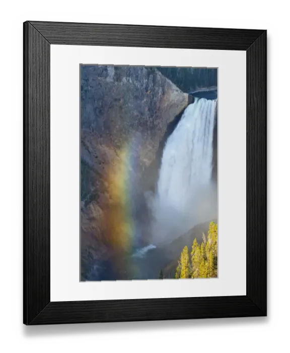 Framed Print : Lower Falls in the Grand Canyon of the Yellowstone River in Yellowstone National Framed Print : Lower Falls in the Grand Canyon of the Yellowstone River in Yellowstone National