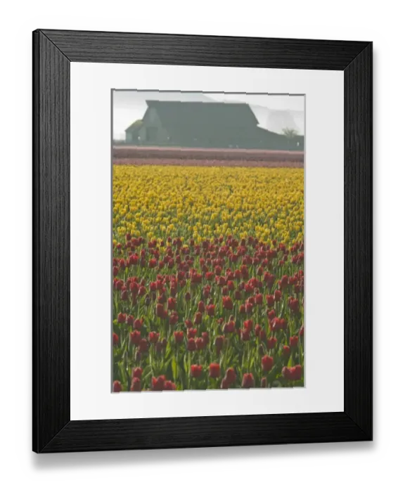 Framed Print : USA, North America, Washington Framed Print : USA, North America, Washington