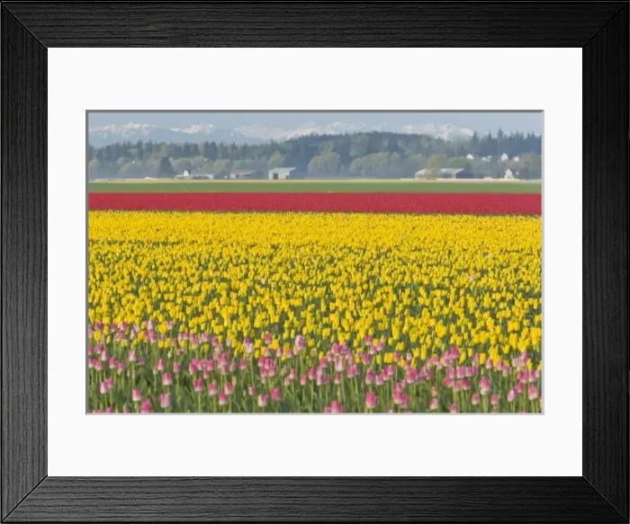 Framed Print : USA, North America, Washington Framed Print : USA, North America, Washington