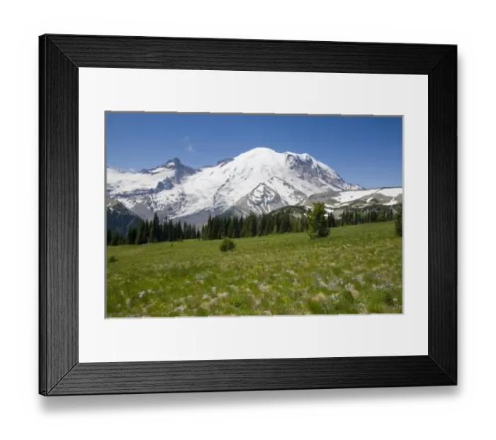 Framed Print : WA, Mount Rainier National Park, Mount Rainier and Little Tahoma, with Steamboat Prow formation Framed Print : WA, Mount Rainier National Park, Mount Rainier and Little Tahoma, with Steamboat Prow formation
