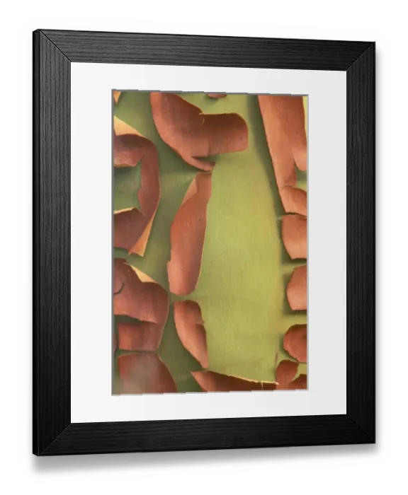 Framed Print : USA, North America, Washington Framed Print : USA, North America, Washington