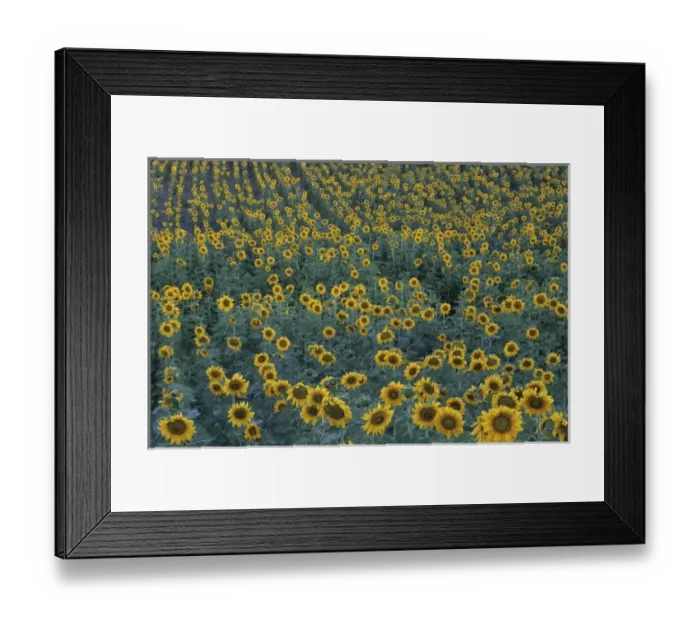 Framed Print : USA, North America, Washington Framed Print : USA, North America, Washington