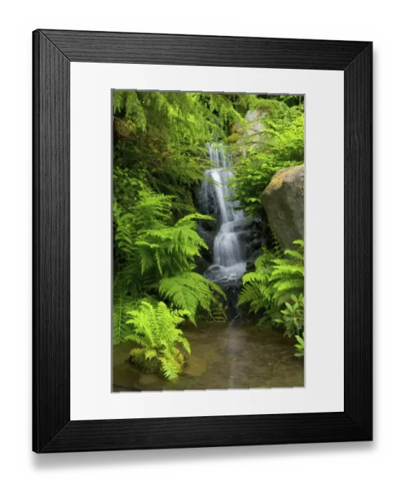 Framed Print : USA, North America, Washington Framed Print : USA, North America, Washington