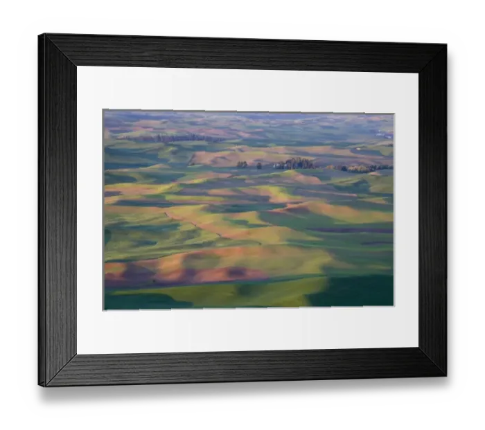 Framed Print : USA, Washington, Whitman County, Palouse Farmland, view from Steptoe Butte Framed Print : USA, Washington, Whitman County, Palouse Farmland, view from Steptoe Butte