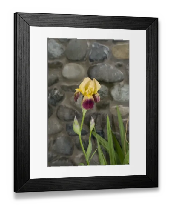 Framed Print : USA, North America, Washington
