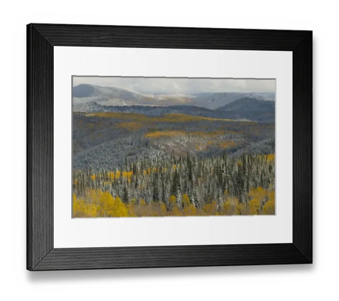 Framed Print : USA, North America, Wyoming Framed Print : USA, North America, Wyoming