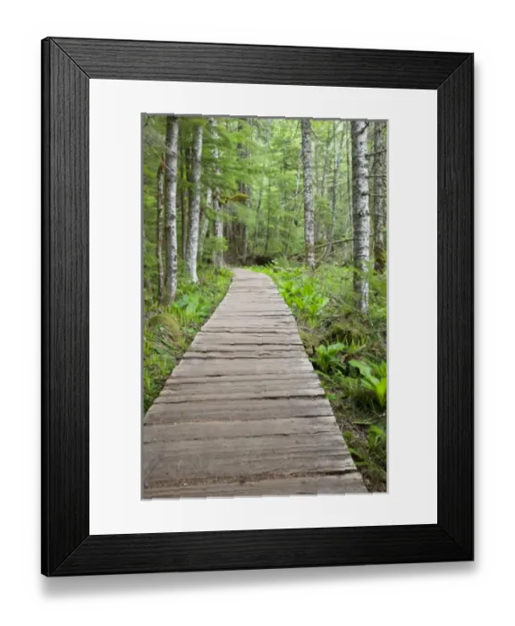 Framed Print : USA, North America, Washington Framed Print : USA, North America, Washington