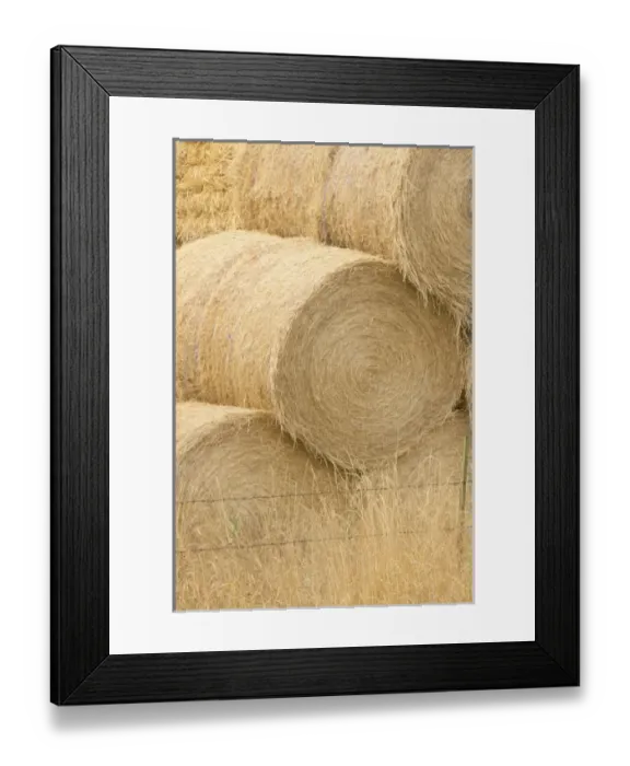 Framed Print : USA, North America, Washington Framed Print : USA, North America, Washington