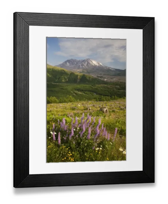 Framed Print : USA, North America, Washington Framed Print : USA, North America, Washington