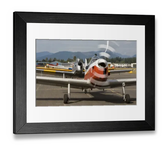 Framed Print : Washington, Arlington Fly-in airplane show Framed Print : Washington, Arlington Fly-in airplane show