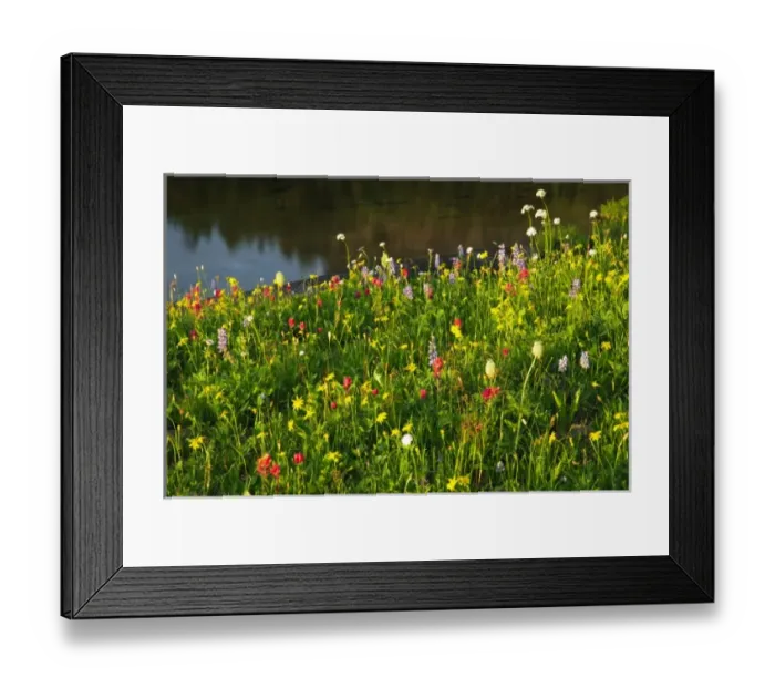 Framed Print : USA, North America, Washington