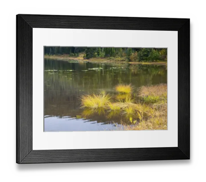 Framed Print : USA, North America, Washington Framed Print : USA, North America, Washington