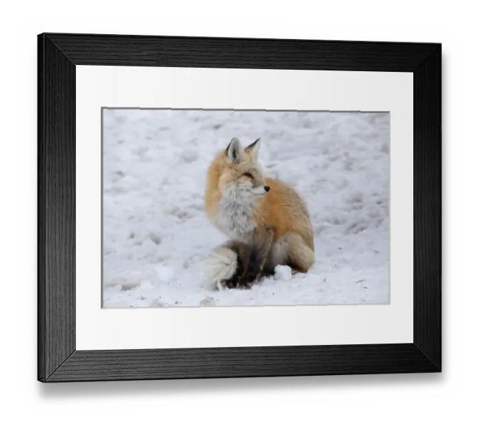 Framed Print : USA, North America, Washington Framed Print : USA, North America, Washington
