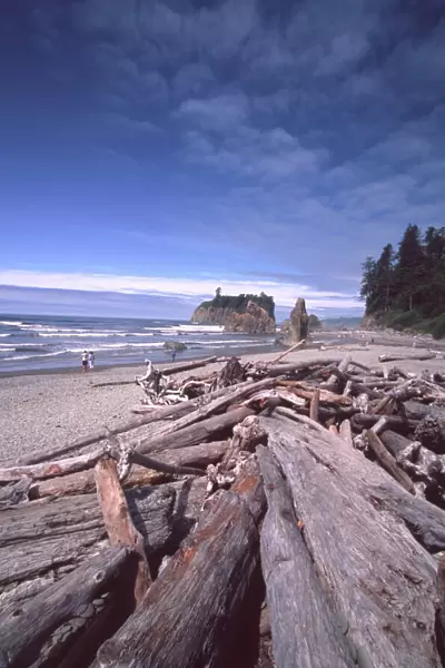 Ruby Beach Driftwood and Sea Stacks, Olympic National Park; Washington; US