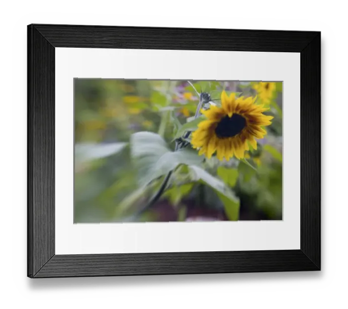 Framed Print : USA, North America, Washington Framed Print : USA, North America, Washington