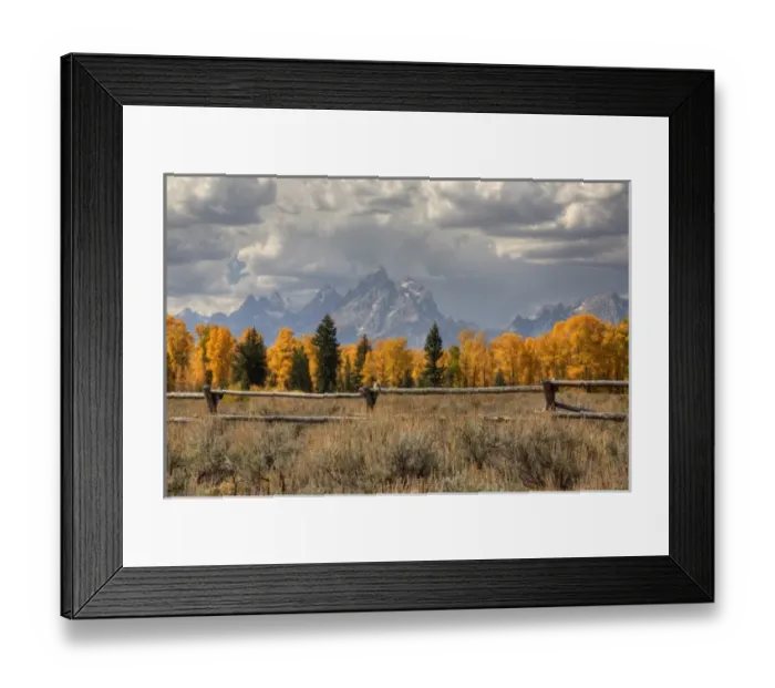 Framed Print : WY, Grand Teton National Park, Teton Range and Cottonwood trees with fence