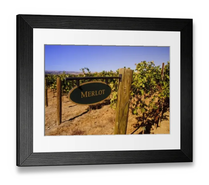 Framed Print : USA, North America, Washington Framed Print : USA, North America, Washington