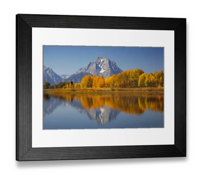 Framed Print : WY, Grand Teton NP, Mount Moran and aspen trees reflected in Snake River