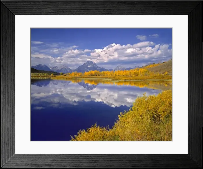 Framed Print : USA, Wyoming, Grand Teton NP. Golden aspen trees line the banks of the Snake River Framed Print : USA, Wyoming, Grand Teton NP. Golden aspen trees line the banks of the Snake River
