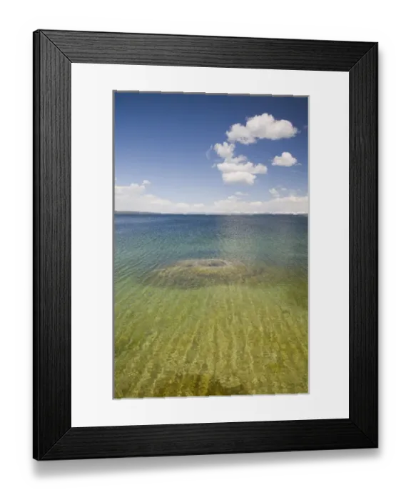 Framed Print : WY, Yellowstone National Park, West Thumb Geyser Basin, on the shore of Yellowstone Lake Framed Print : WY, Yellowstone National Park, West Thumb Geyser Basin, on the shore of Yellowstone Lake