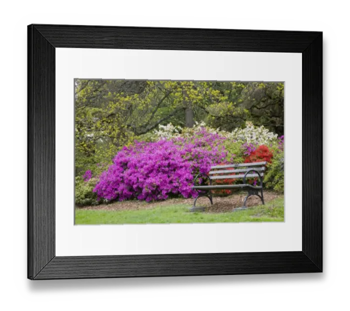 Framed Print : USA, North America, Washington Framed Print : USA, North America, Washington