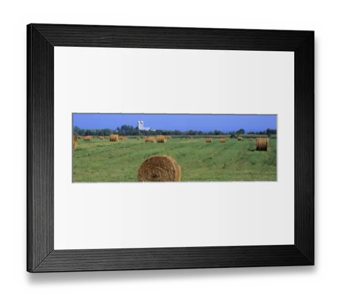 Framed Print : USA, Wisconsin, Kewaunee Co. Hay rolls will be stored and used as feed in Kewaunee County