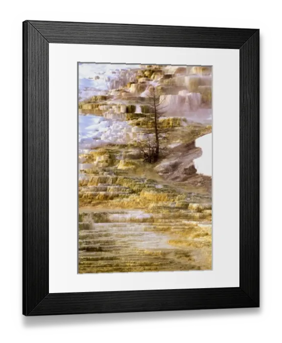 Framed Print : USA, North America, Wyoming Framed Print : USA, North America, Wyoming