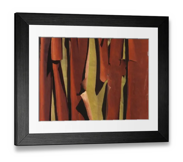 Framed Print : USA, Washington State, Lopez Island. Brown peeling Pacific Madrone bark reveals Framed Print : USA, Washington State, Lopez Island. Brown peeling Pacific Madrone bark reveals